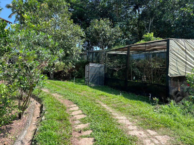 farmhouse garden